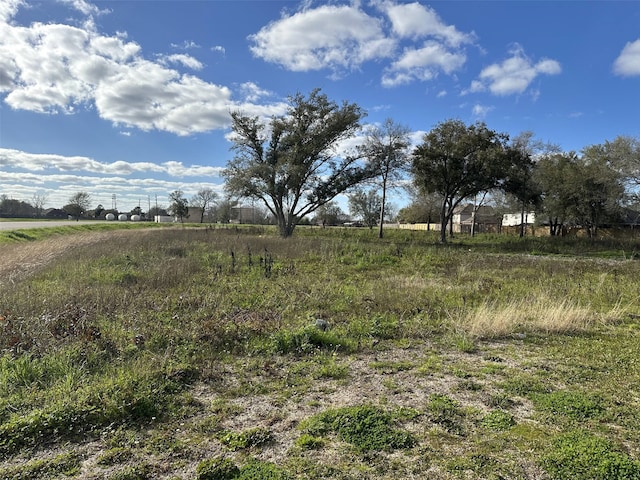 Listing photo 2 for 0 Sycanmore Rd, Fresno TX 77545