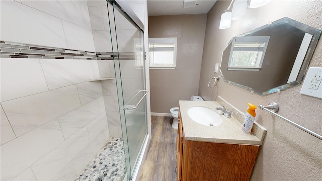 bathroom featuring toilet, a shower with door, vanity, and a wealth of natural light