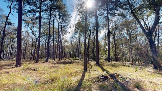 view of landscape