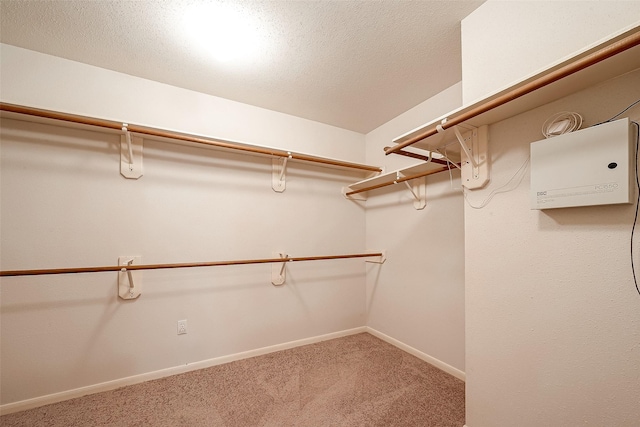 walk in closet featuring carpet floors