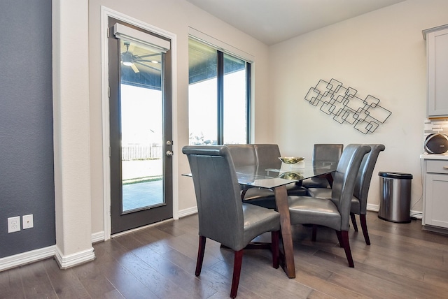 dining room featuring dark hardwood / wood-style flooring