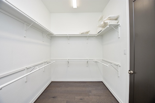 spacious closet featuring dark hardwood / wood-style flooring