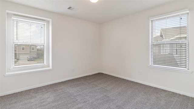 carpeted spare room featuring a wealth of natural light