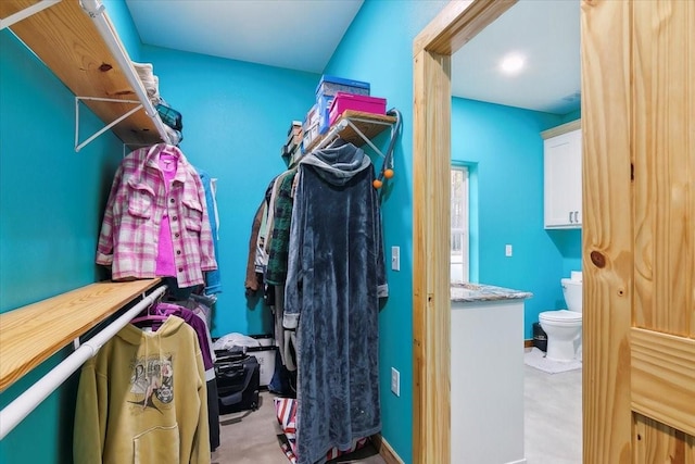 view of spacious closet