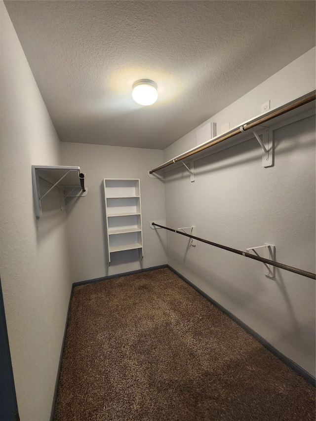 spacious closet featuring carpet flooring