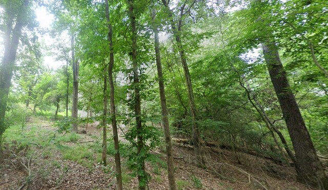 470 Burris Dr, Livingston, TX 77351 - photo 4
