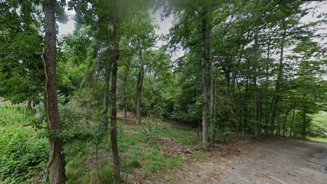 470 Burris Dr, Livingston, TX 77351 - photo 5