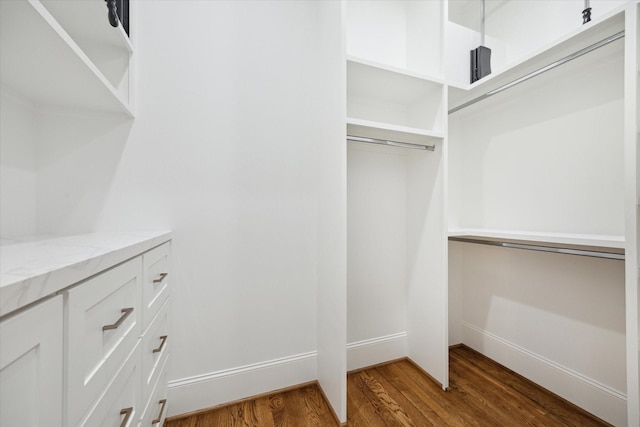 spacious closet with wood-type flooring