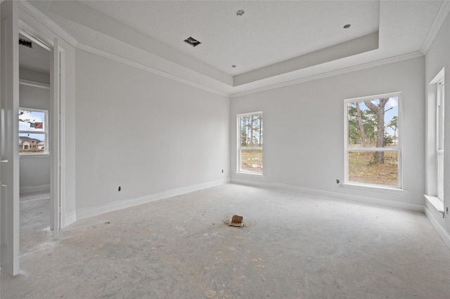 empty room featuring a raised ceiling and a healthy amount of sunlight