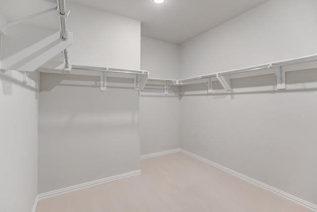 walk in closet featuring carpet flooring