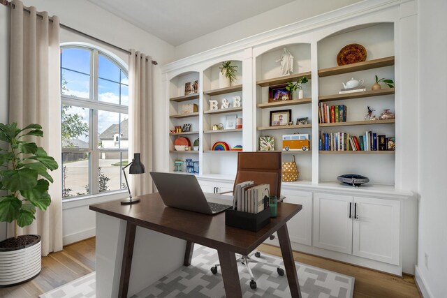 home office featuring light hardwood / wood-style floors and a wealth of natural light