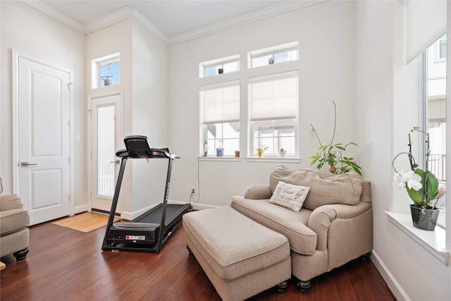 workout area featuring baseboards, ornamental molding, and wood finished floors