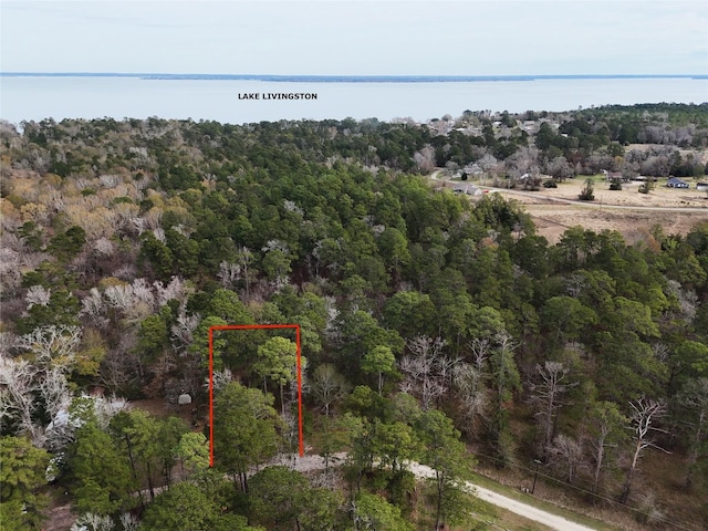 TBD Shadow Wood Cir, Coldspring TX, 77331 land for sale