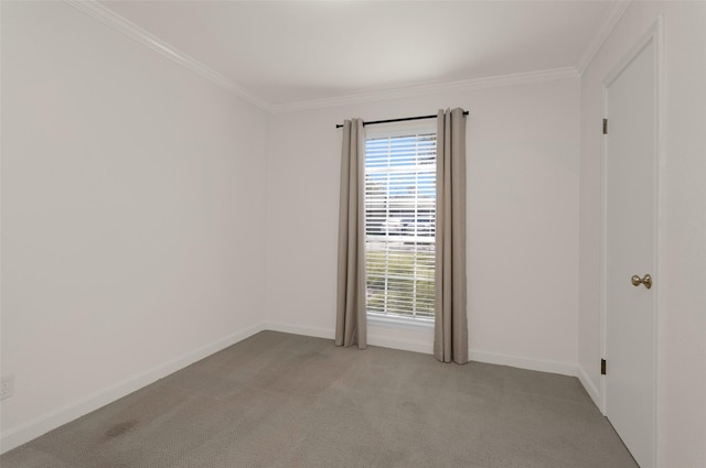 spare room featuring ornamental molding and light carpet