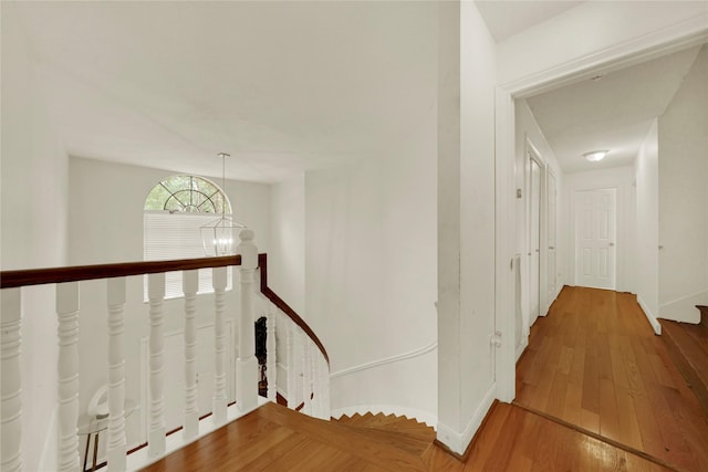 corridor with an inviting chandelier and hardwood / wood-style floors