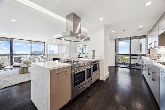 kitchen featuring island range hood, stainless steel appliances, a wall of windows, a healthy amount of sunlight, and dark hardwood / wood-style floors