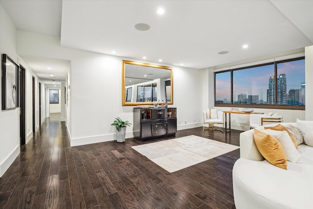 living room with wood-type flooring