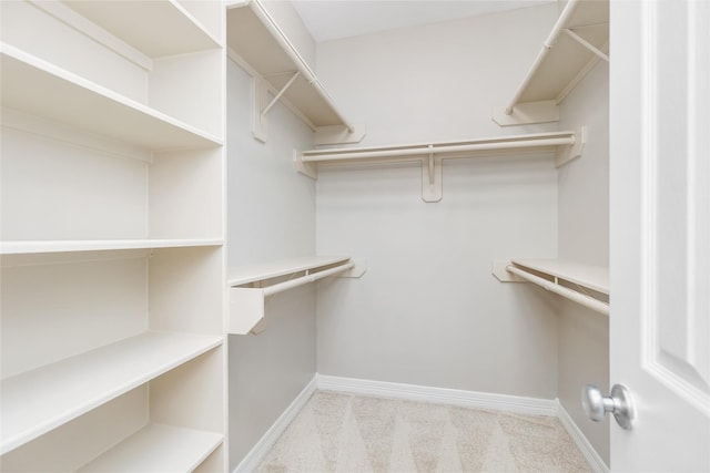 spacious closet with light colored carpet