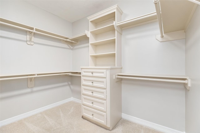 spacious closet featuring light colored carpet