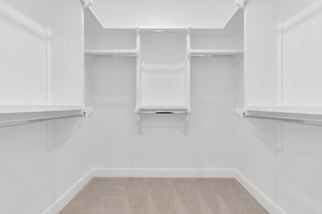 spacious closet with light colored carpet