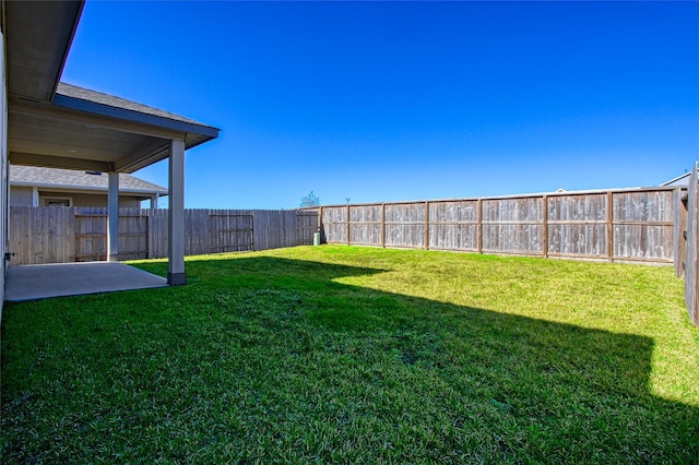 view of yard featuring a patio area