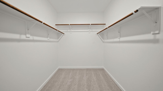 spacious closet featuring light colored carpet