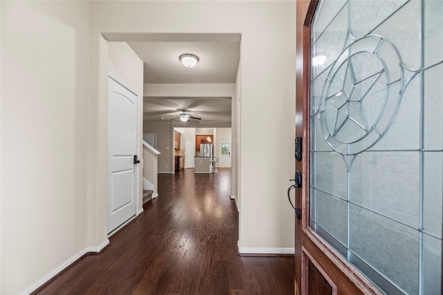 foyer with ceiling fan and dark hardwood / wood-style floors