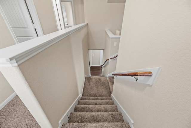 stairs featuring carpet floors