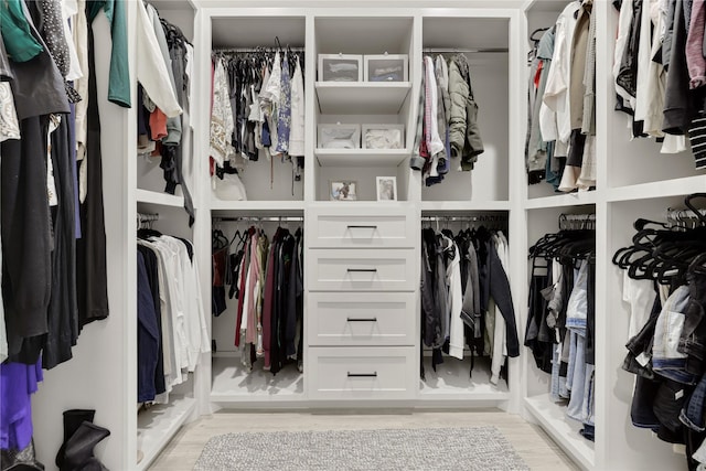 spacious closet with light hardwood / wood-style floors