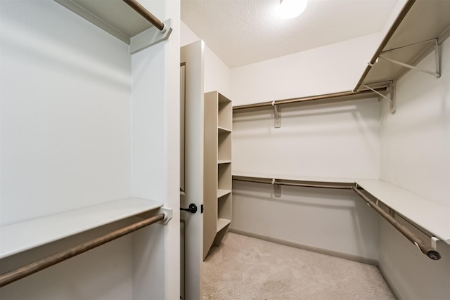 spacious closet with light carpet