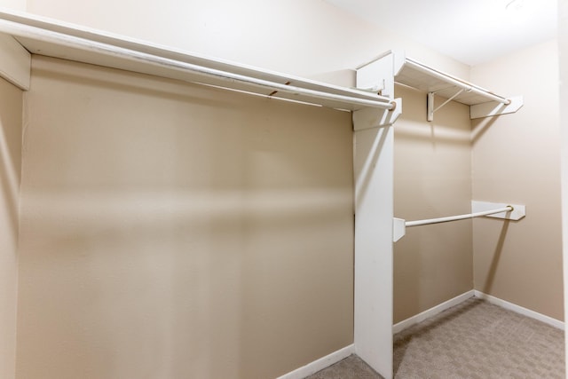 spacious closet with light carpet