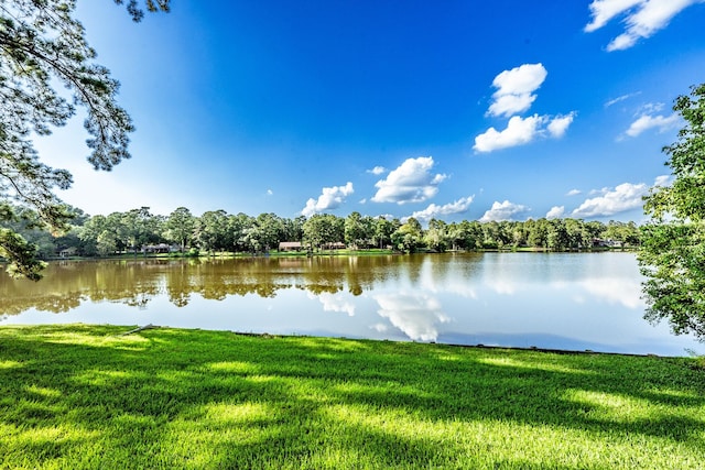 1915 E Lake Dr, Huntsville, TX 77340 - water view