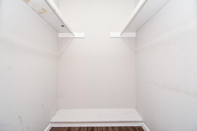 spacious closet featuring dark hardwood / wood-style flooring