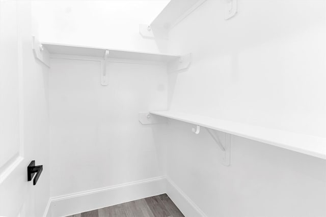 spacious closet with wood-type flooring