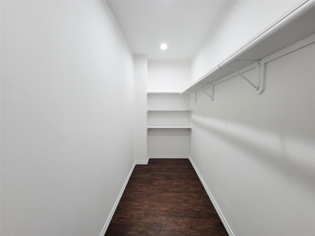 spacious closet with dark hardwood / wood-style flooring