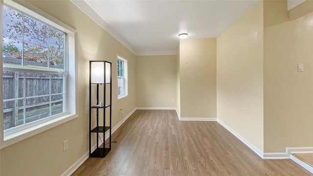 spare room featuring plenty of natural light and light hardwood / wood-style flooring