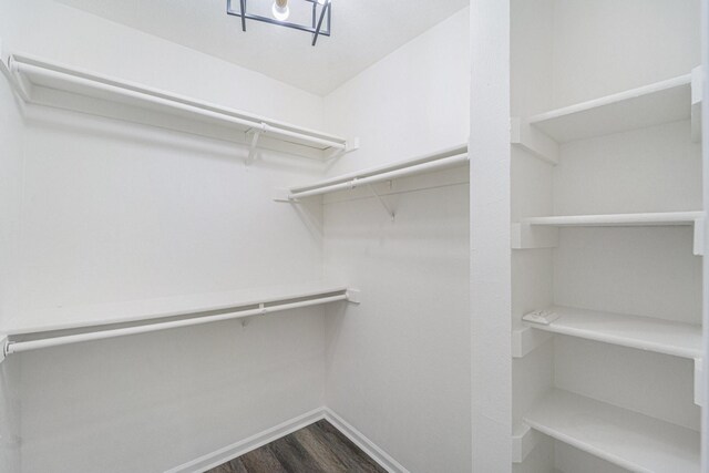 walk in closet featuring dark wood-type flooring