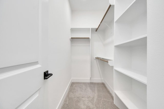 spacious closet with light carpet