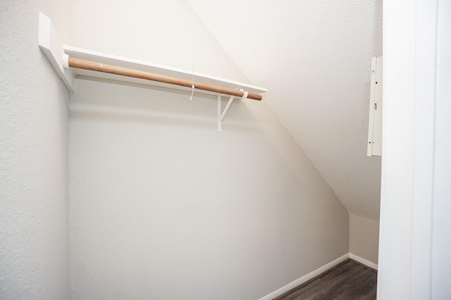 spacious closet featuring dark hardwood / wood-style flooring