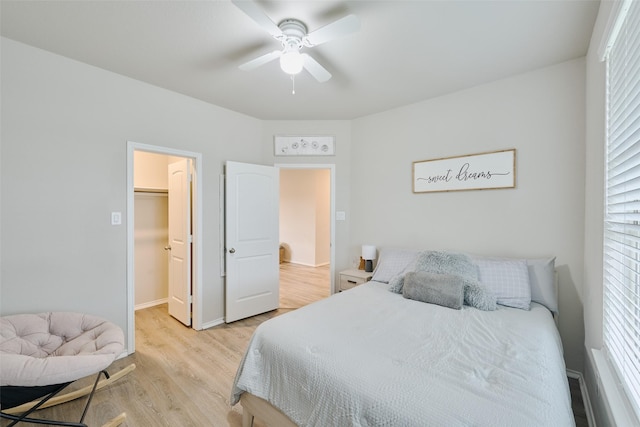 bedroom featuring ceiling fan, a walk in closet, light hardwood / wood-style flooring, and a closet