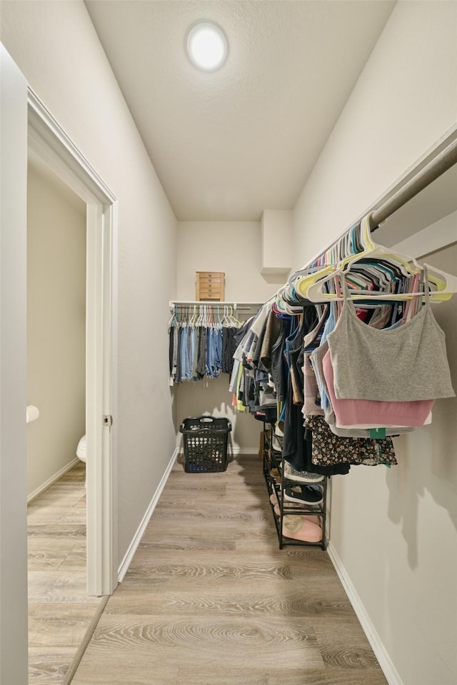 walk in closet featuring wood-type flooring