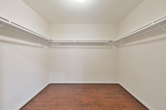 spacious closet featuring dark hardwood / wood-style flooring