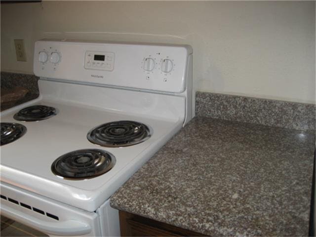 interior details featuring electric stove