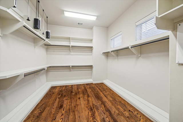 spacious closet with dark hardwood / wood-style floors