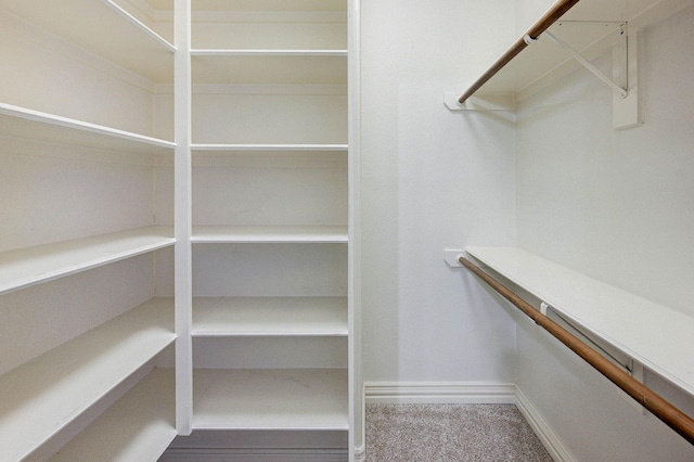 walk in closet featuring carpet flooring