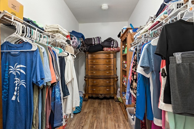 walk in closet with wood-type flooring