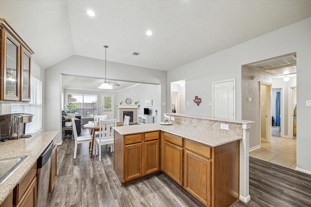 kitchen featuring lofted ceiling, dark wood-type flooring, stainless steel dishwasher, and ceiling fan