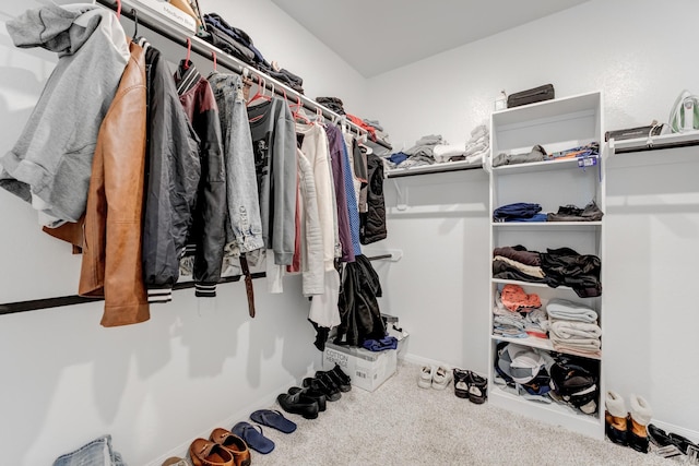 spacious closet featuring carpet floors