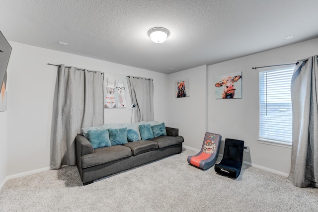 living room with a textured ceiling and carpet