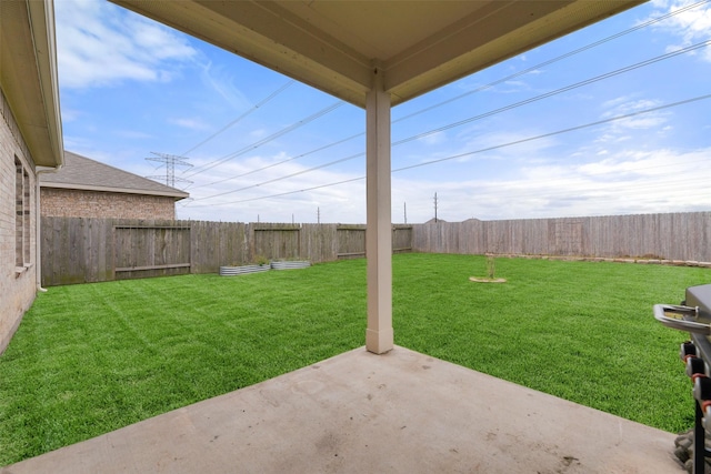 view of yard featuring a patio area